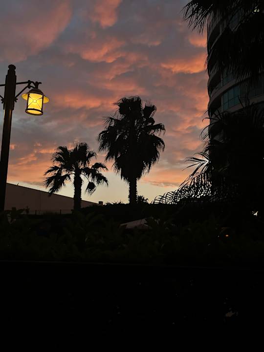 Ausblick Wyndham Garden Lara