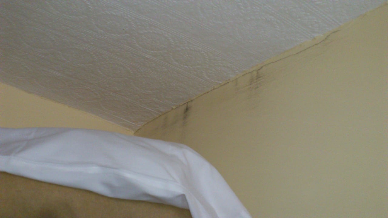 Schimmel Hotel Shakespeare