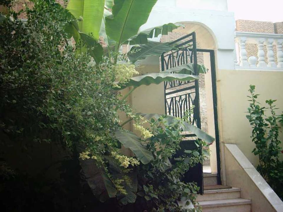 Frühstücksgarten im Little Garden Hotel Hotel Little Garden