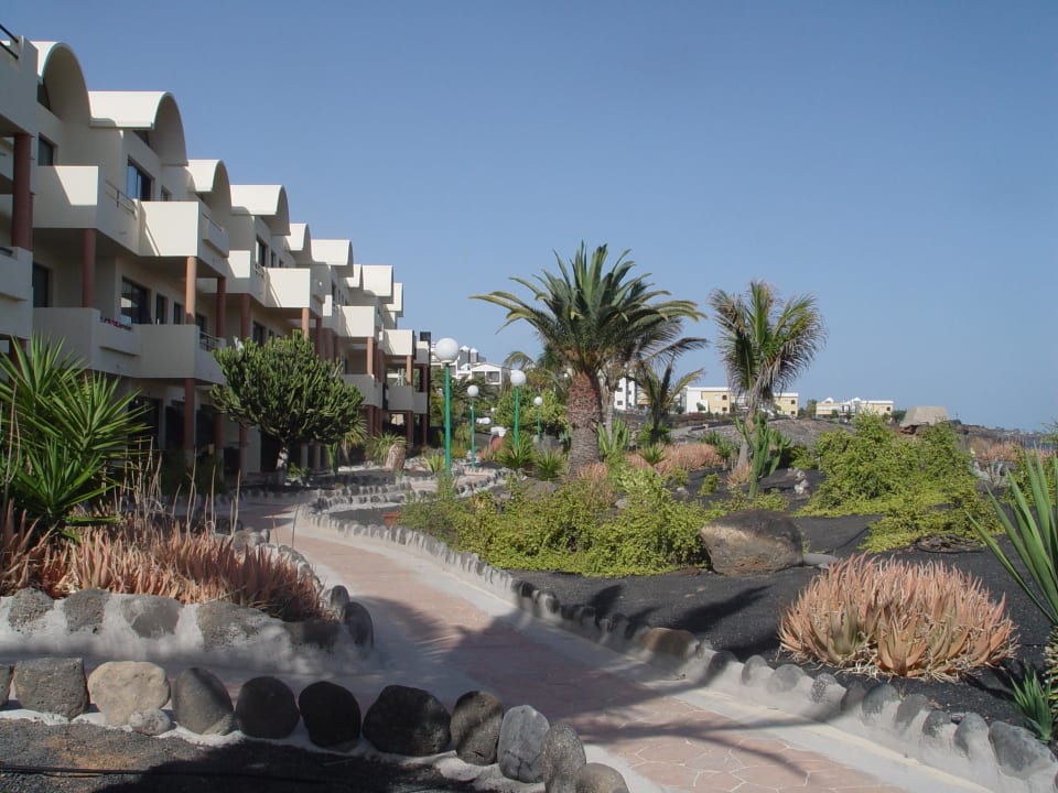 Vordere Reihe SBH Hotel Royal Monica