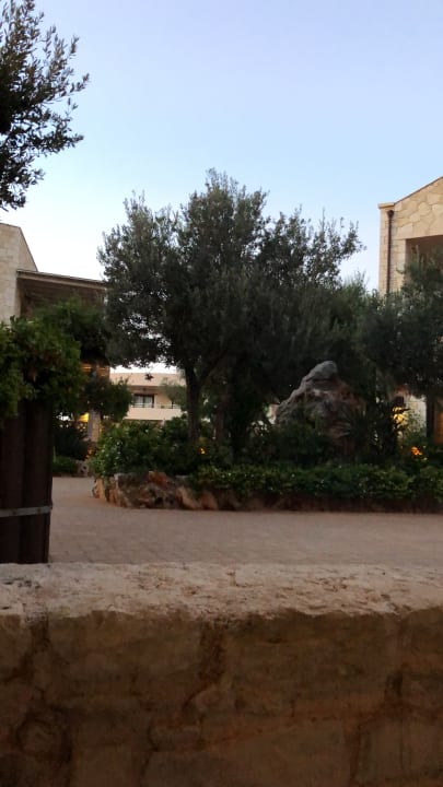 Gartenanlage Cactus Royal