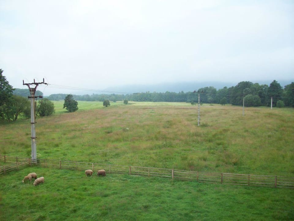 Aussicht/Ausblick Pension Kfely Mühle