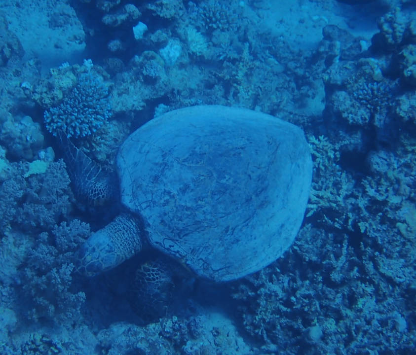 Strand Casa Mare Resort