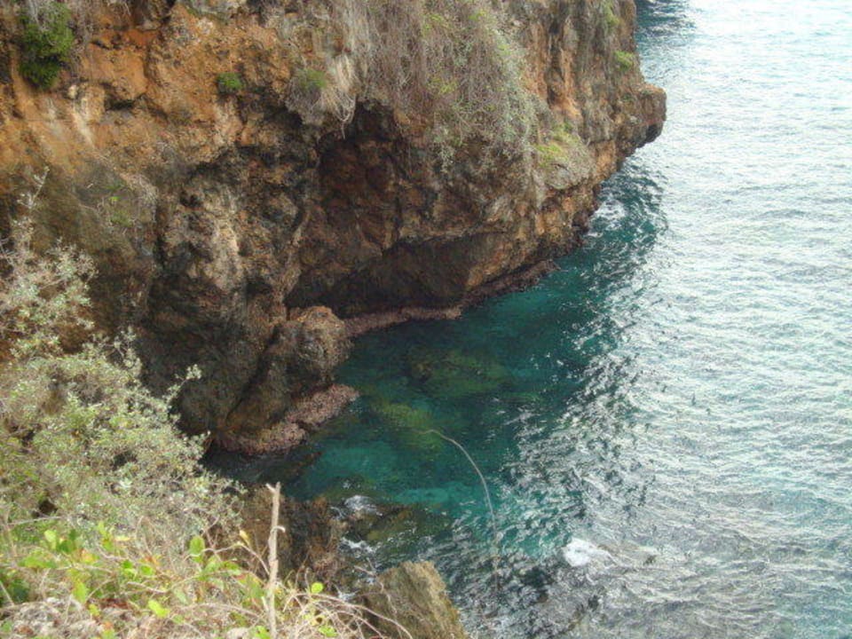 Natur Wyndham Alltra Samana