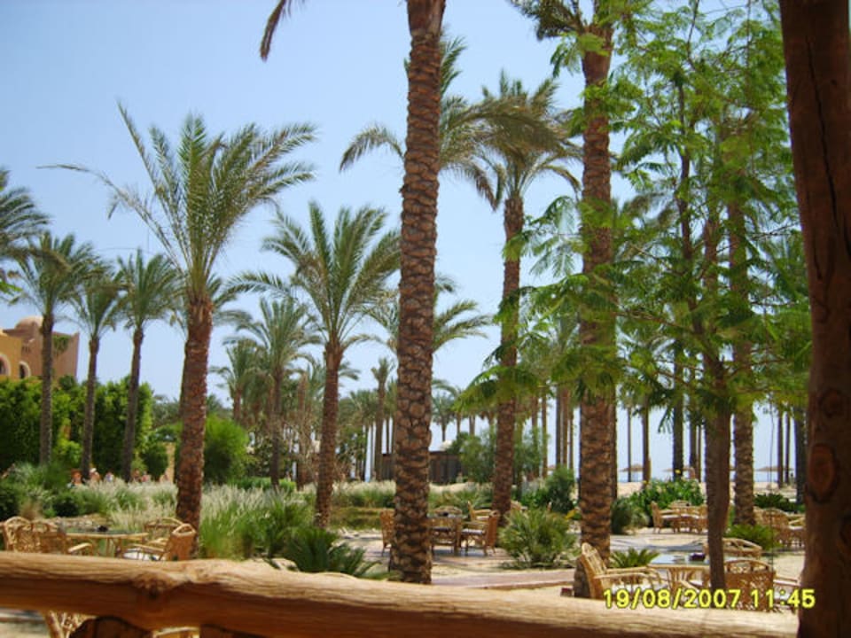 Makadi Family Star Grand Waterworld Makadi & Family Star Makadi