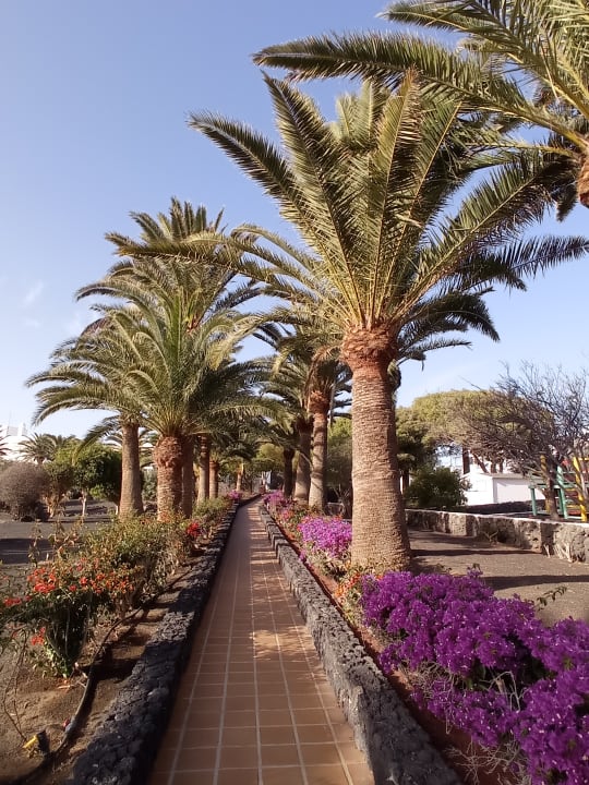 Gartenanlage Relaxia Olivina