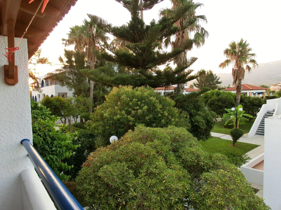 Poolanlage im Hintergrund Hotel Tigaki's Star