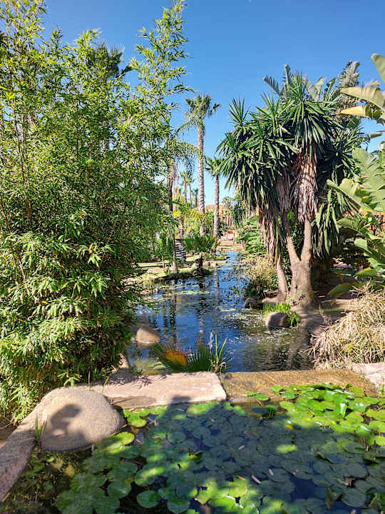 Gartenanlage Royal Hideaway Sancti Petri