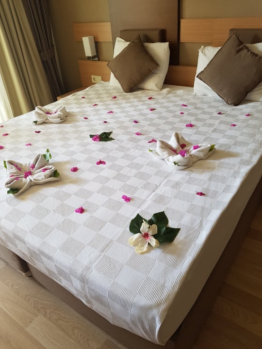 Zimmer Telatiye Resort