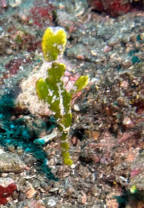 Sport & Freizeit Sali Bay Resort