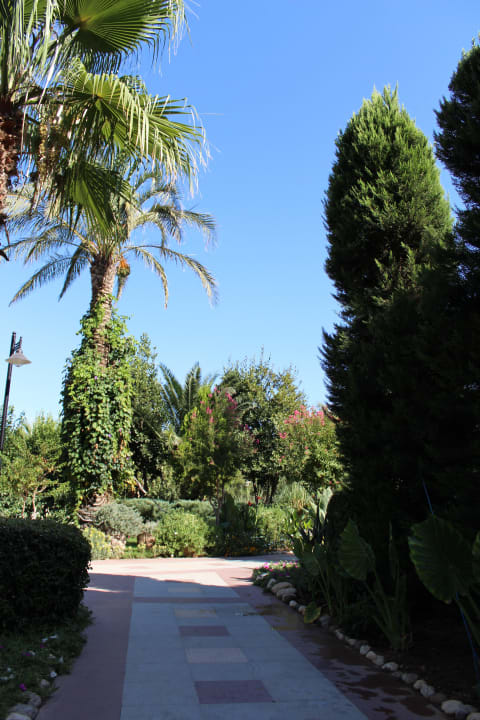 Прогулочные дорожки Belek Beach Resort Hotel