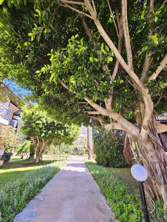 Gartenanlage Starlight Resort Hotel