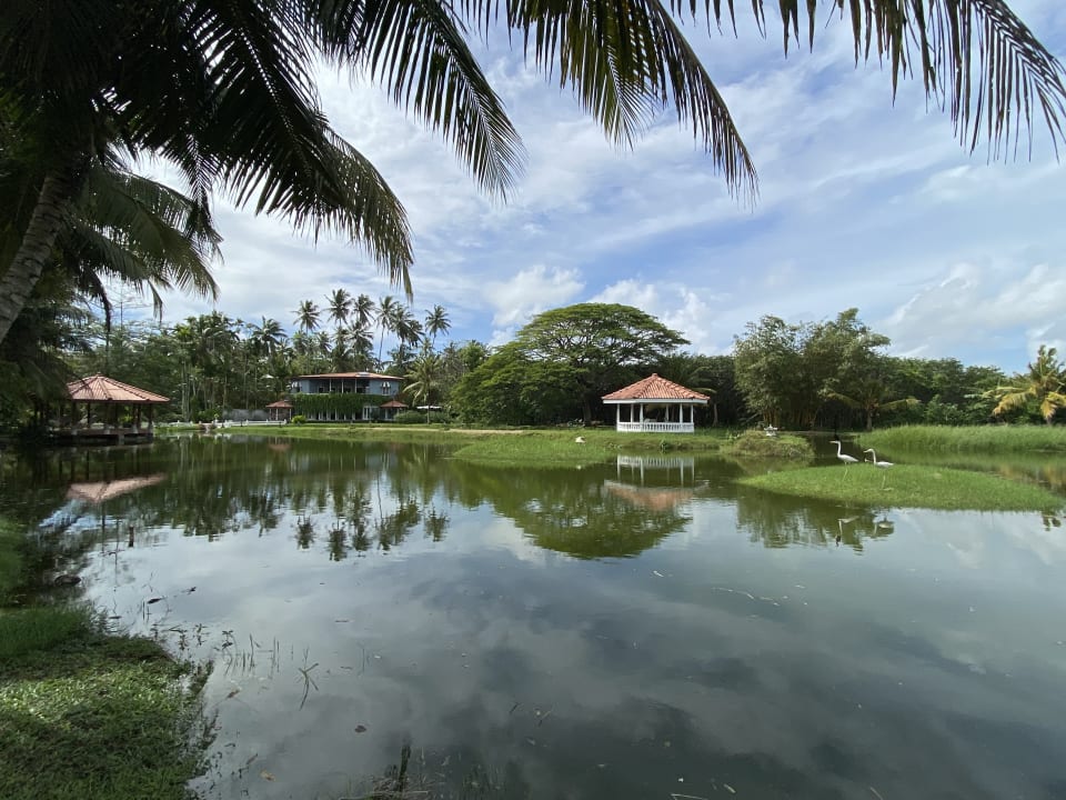 Gartenanlage Ayubowan Swiss Lanka Bungalow Resort