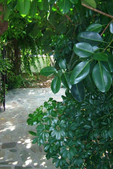 Weg Hotel Golden Sun