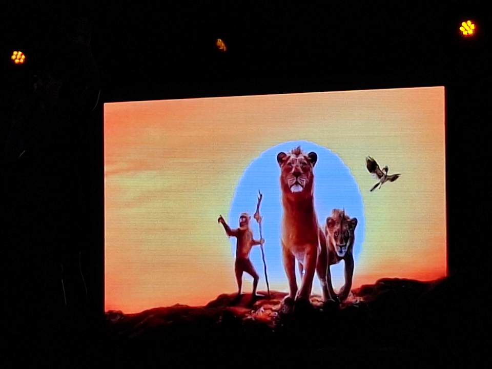 Sonstiges Globales Bouganvilla