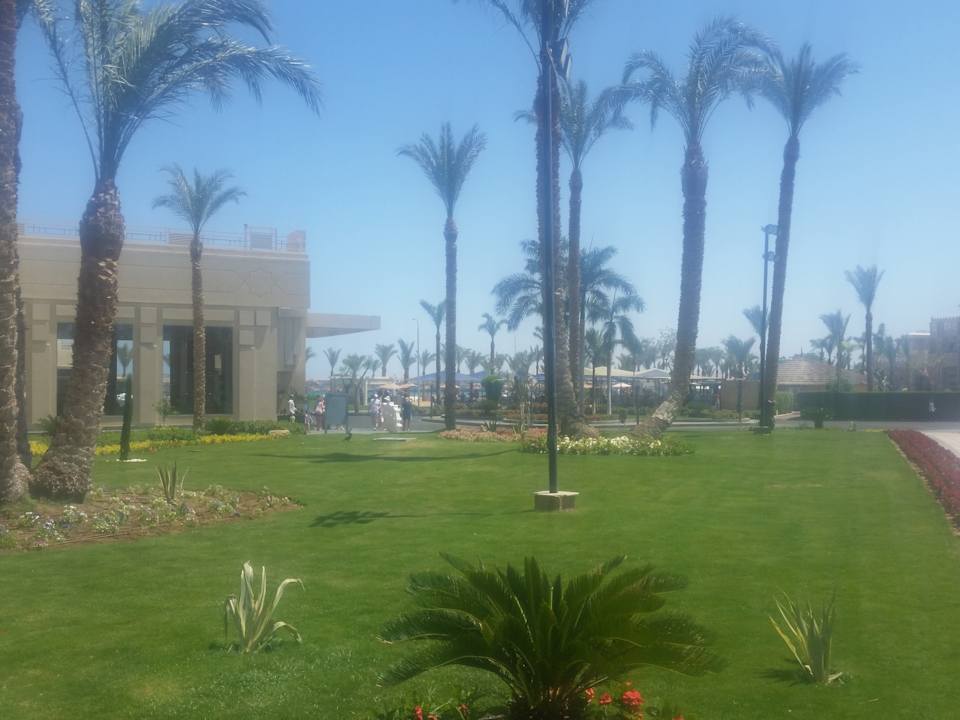 Gartenanlage Beach Albatros Resort