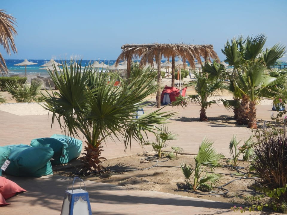 Ruhezone Shams Alam Beach Resort