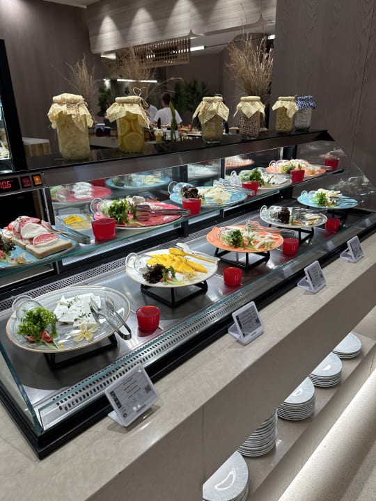 Gastro Arycanda Kirman Premium