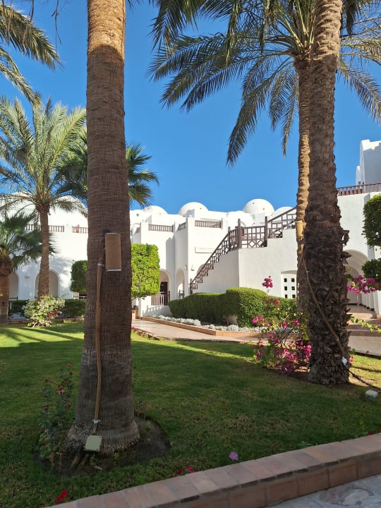 Gartenanlage Arabella Azur Resort