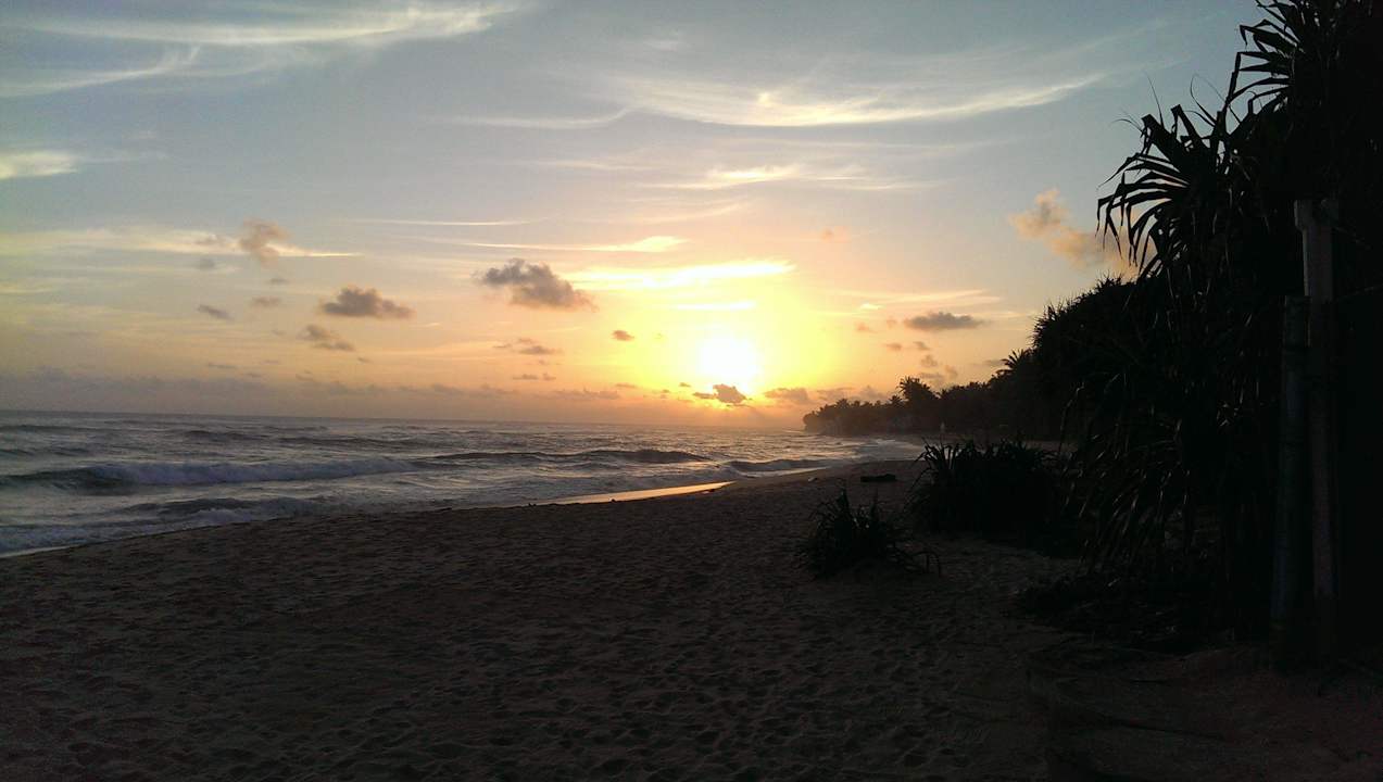Sonnenuntergang Hotel Haus am Meer Wilde Ananas