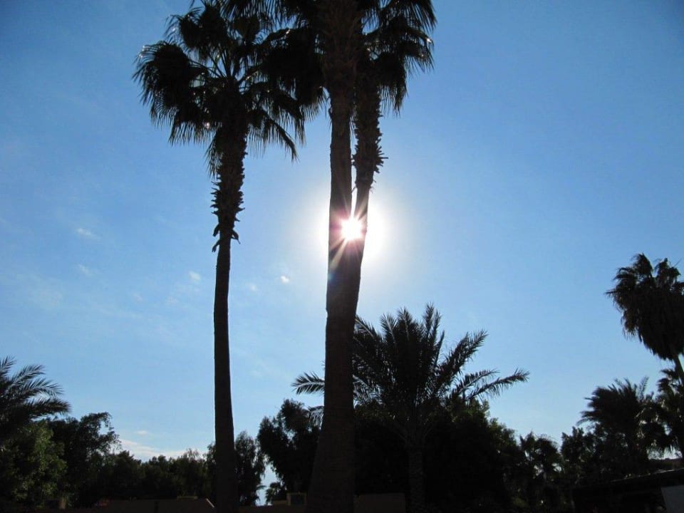 Sonnenaufgang Giftun Azur Resort