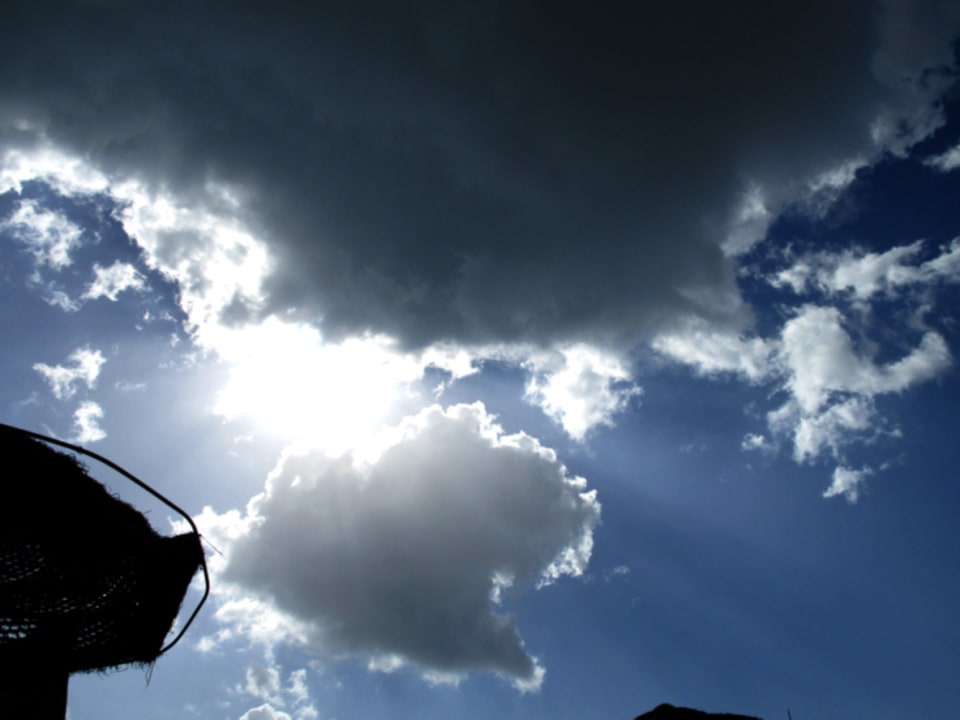 Ausblick Iberostar Waves Averroes