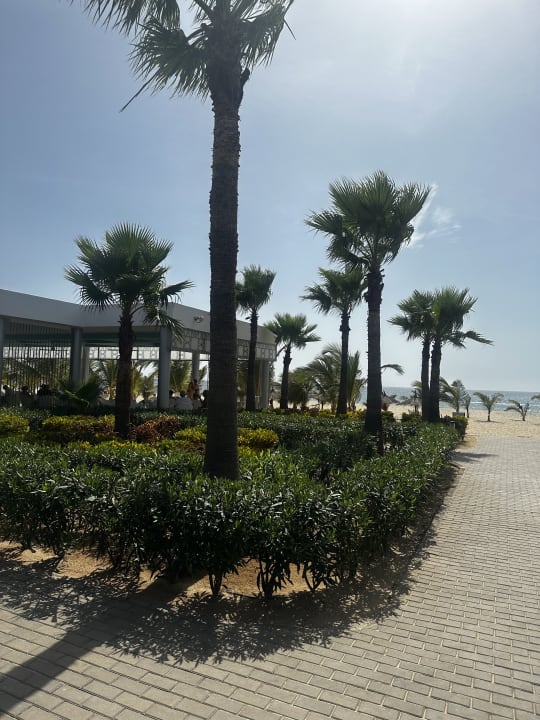 Gartenanlage Hotel Riu Palace Boavista