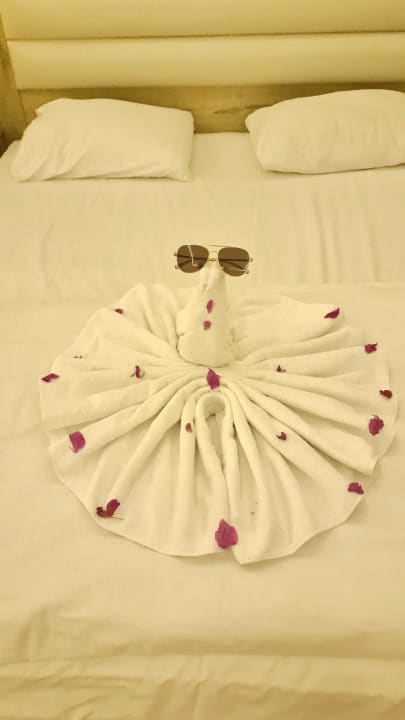 Zimmer Beach Albatros Resort