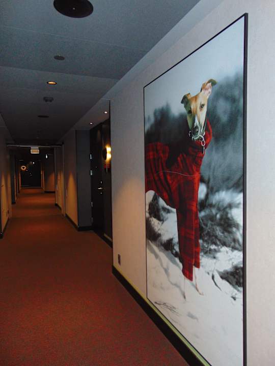 Sonstiges Radisson RED, Oslo Airport