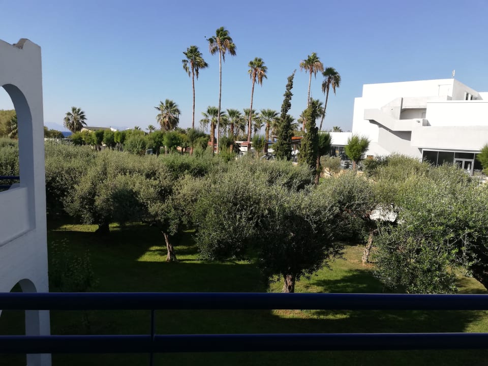 Ausblick TUI KIDS CLUB Alex Beach