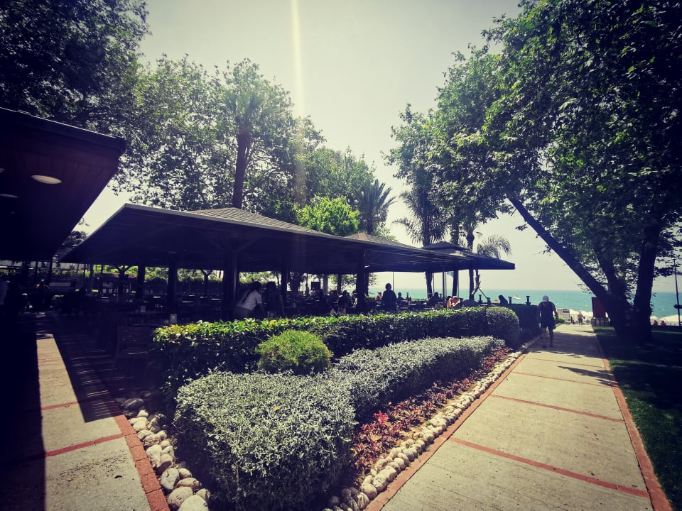 Gastro Side Star Elegance