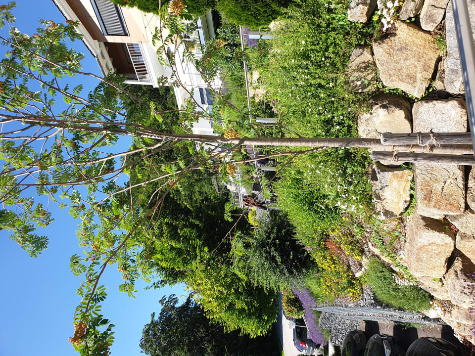 Außenansicht Thula Wellnesshotel Bayerischer Wald