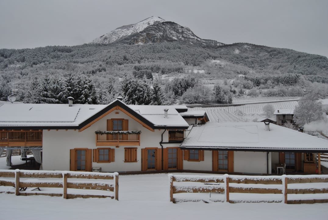 Struttura Berry House Agriturismo Berry House