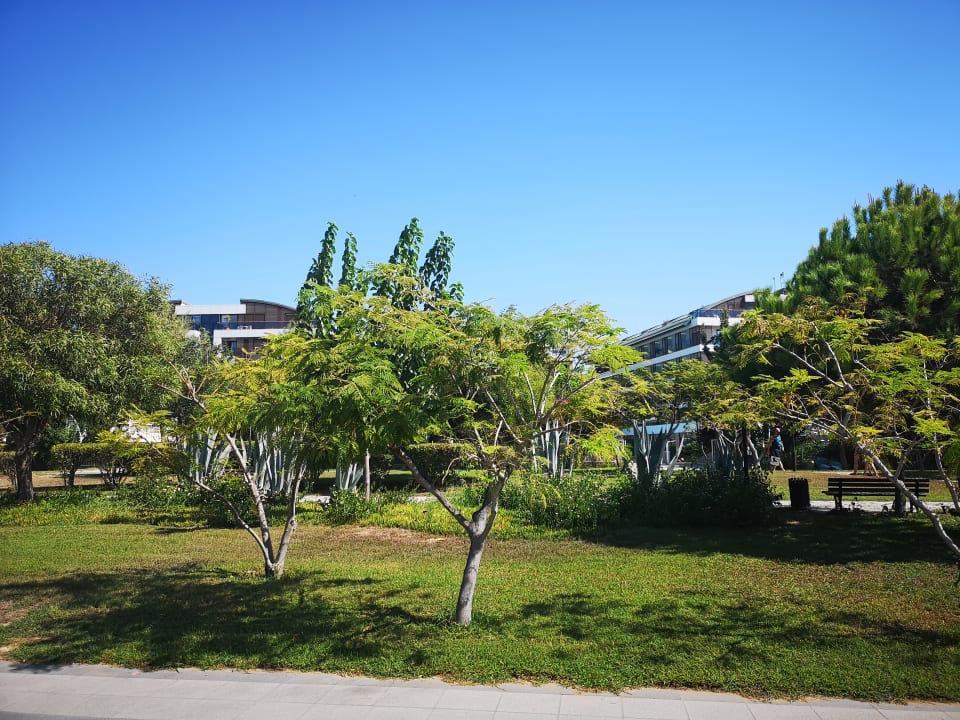 Gartenanlage Dream World Aqua Hotel