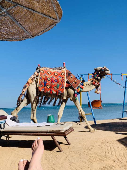 Strand Riviera Aqua Park Resort