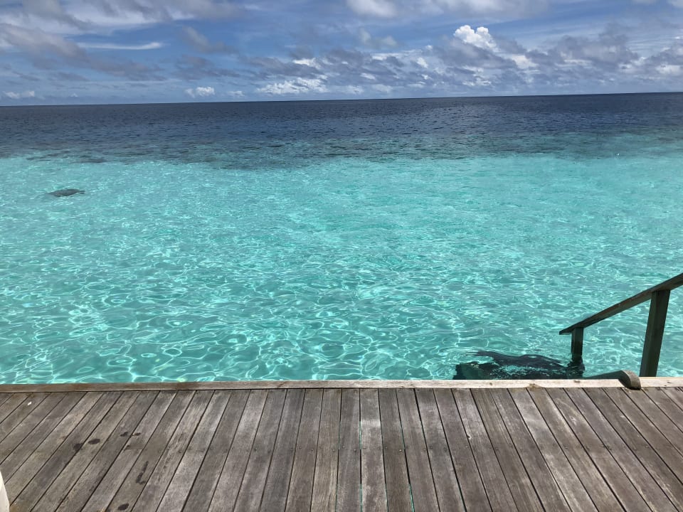 Ausblick Veligandu Maldives Resort Island