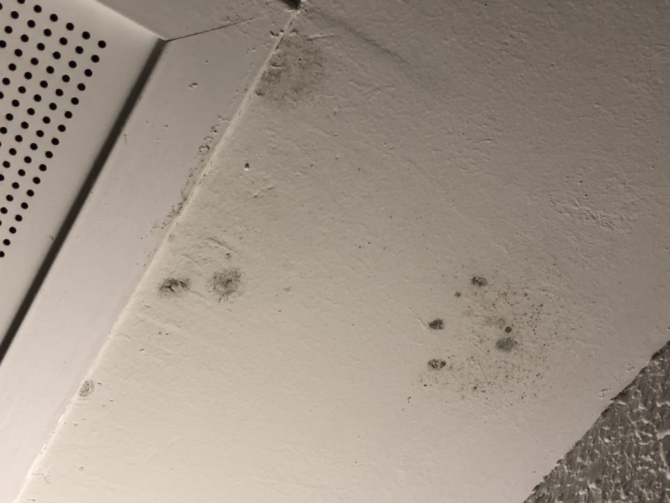 Zimmer Insotel Club Tarida Playa