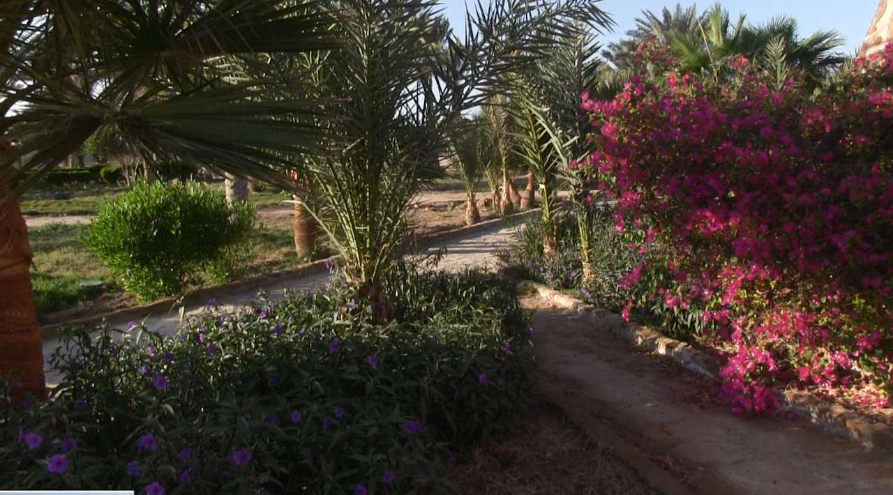 Gartenanlage Pensée Royal Garden Beach Resort