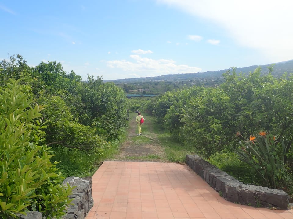 Gartenanlage Agriturismo Feudogrande