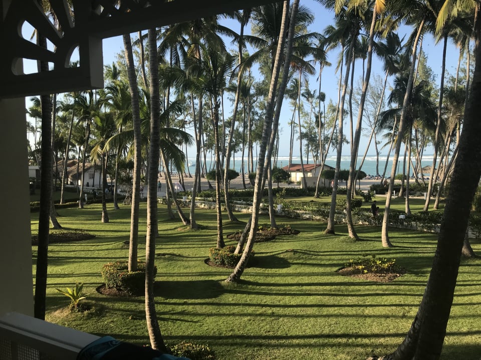 Erneut unser Ausblick in Richtung des Meeres  Vista Sol Punta Cana