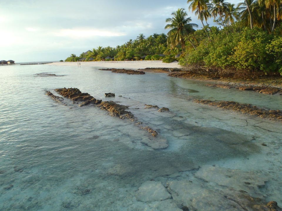 Strand bei den Deluxe Villas Filitheyo Island Resort