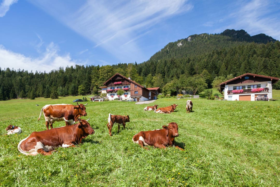 Außenansicht Ferienhaus Lehen