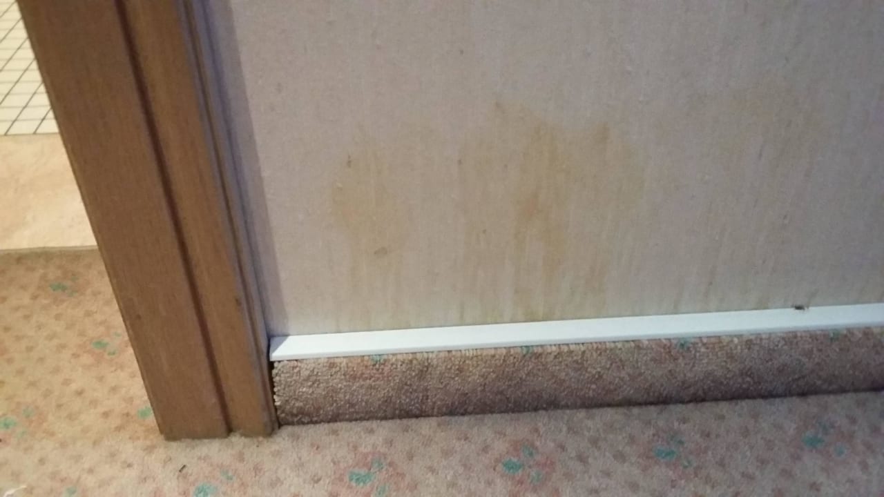 Hundeurin Berghotel Hoher Knochen