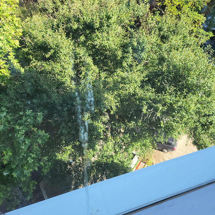 Zimmer GRIFID Vistamar