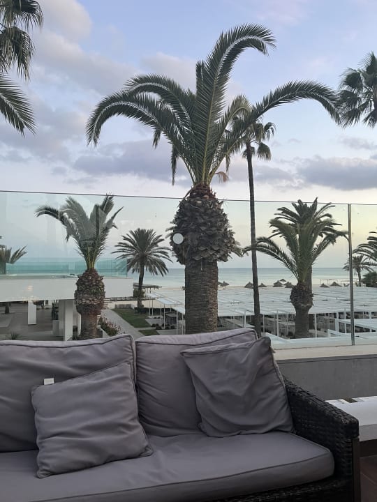 Ausblick The Orangers Garden Villas & Bungalows