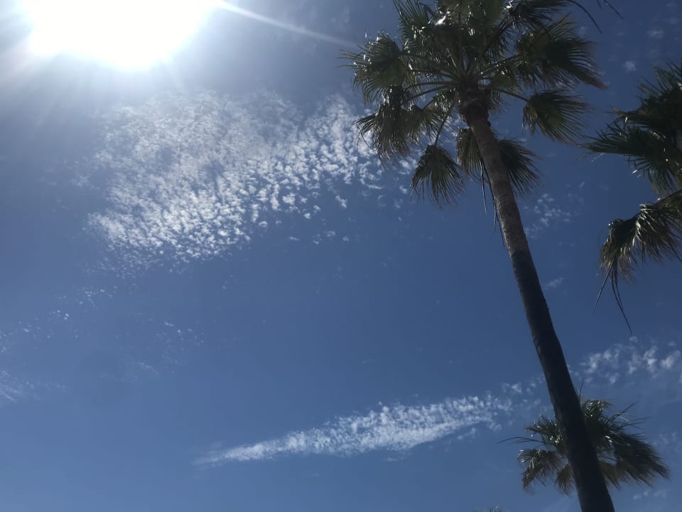 Ausblick Aldiana Club Andalusien