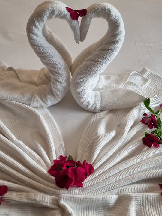 Zimmer Dream Fun World