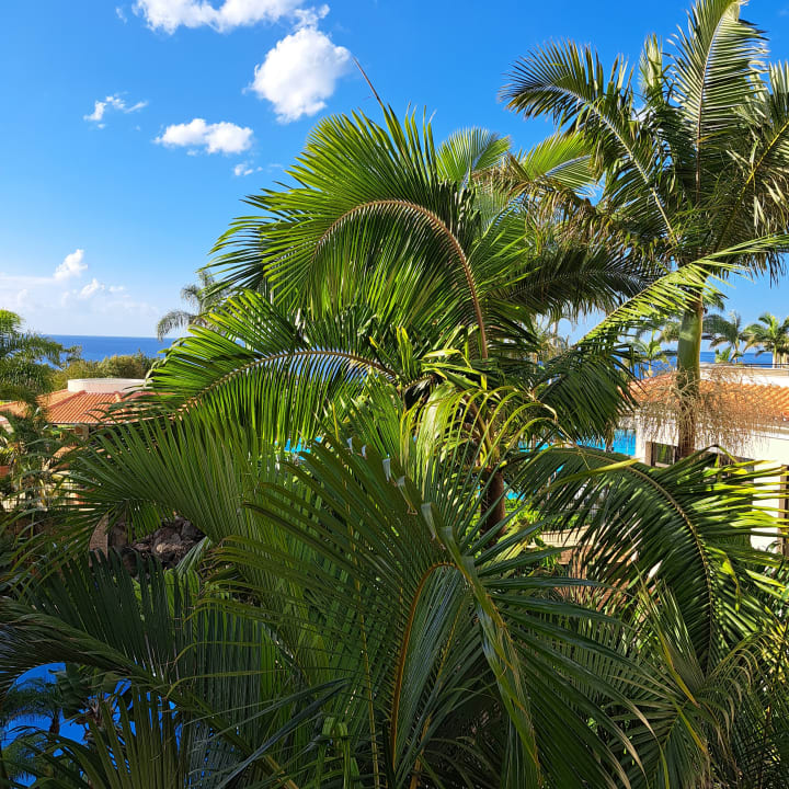 Ausblick Hotel Porto Mare - PortoBay