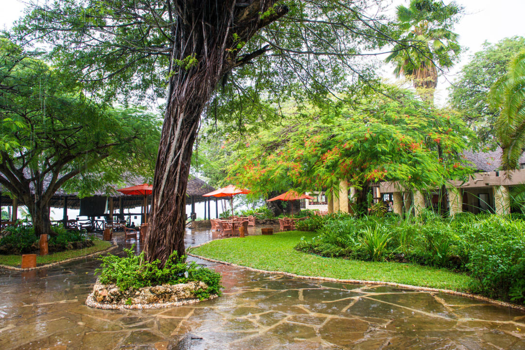 Blick zum Pool Baobab Beach Resort & Spa