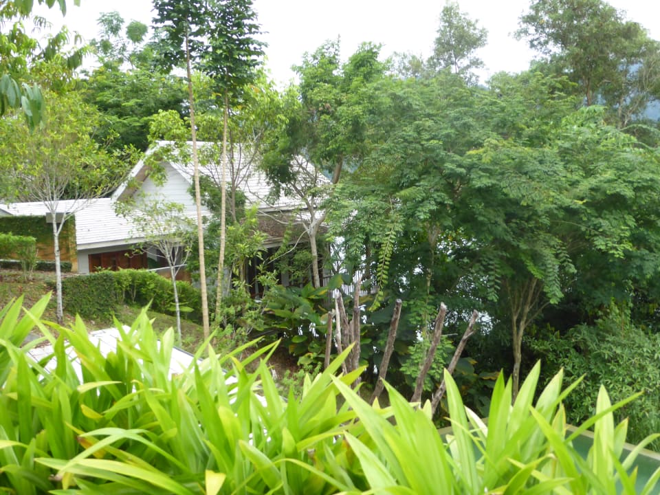 Außenanlage Hotel Belum Rainforest Resort